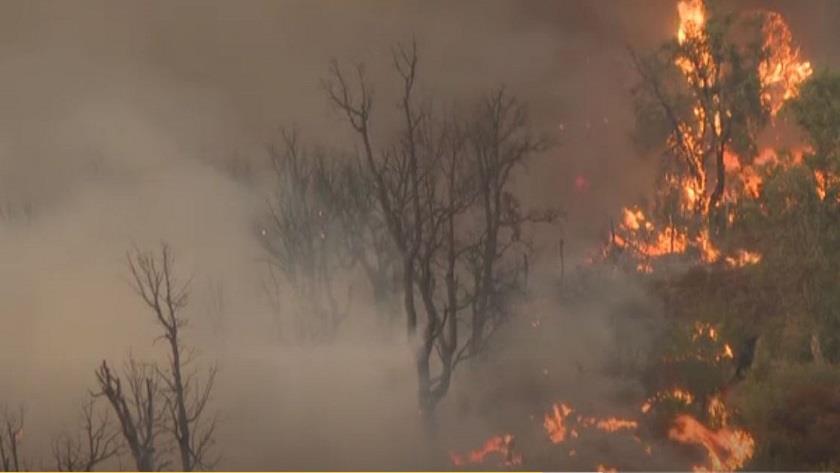 Iranpress: Forest fires rampage in northern Morocco