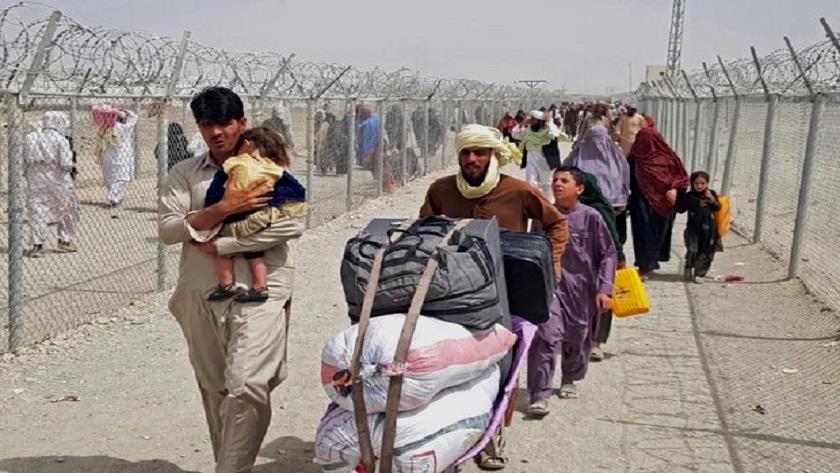 Iranpress:  Concurrent with control of Taliban; Germany stops aid to Afghanistan
