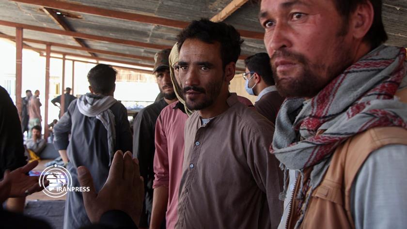 Iranpress: Afghan refugees return to country from Iran