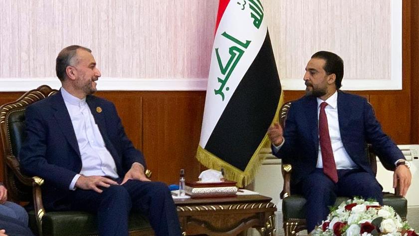 Iranpress: Iran supports Iraqi snap elections