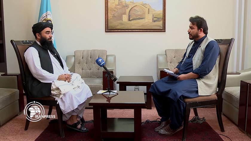 Iranpress: Taliban spox: New gov