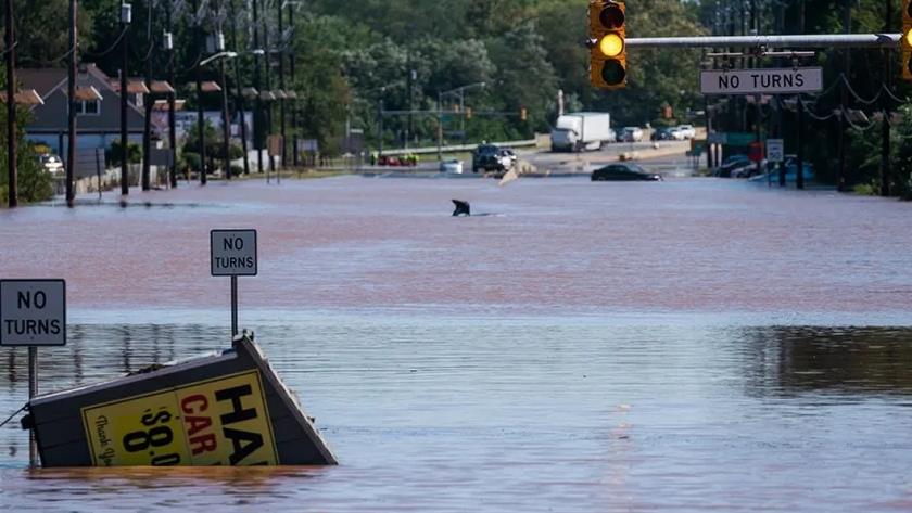 Iranpress: New flooding possible in northeastern US as storms kill dozens