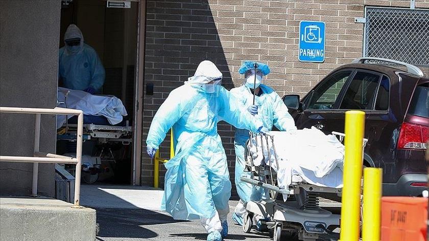 Iranpress: Global cases of COVID-19 near 222m