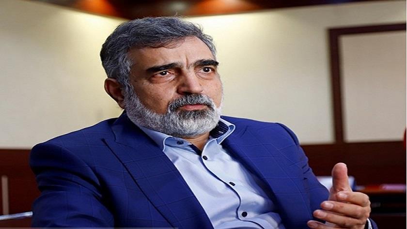 Iranpress: IAEA