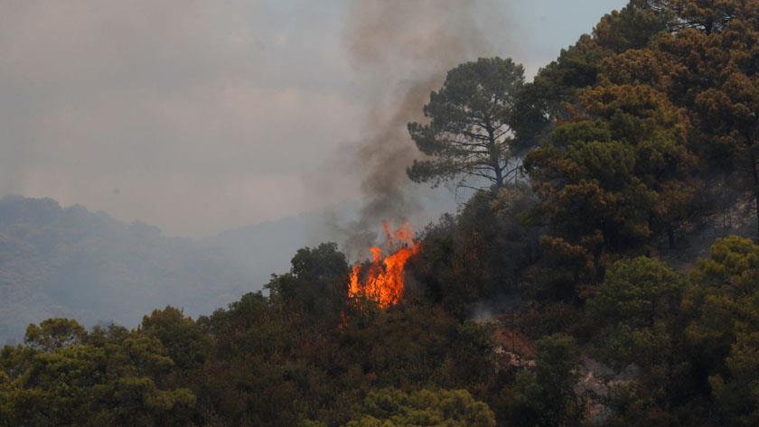 Iranpress: Wildfire in Spain forces nearly 800 to flee