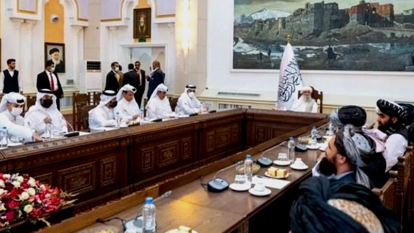 Iranpress: Qatar
