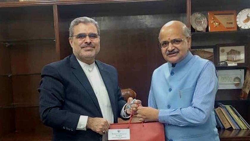 Iranpress: Iran, India shoring up economic ties