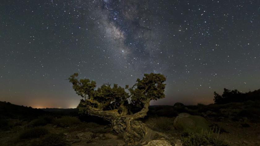Iranpress:  Star rain night sky in Iran