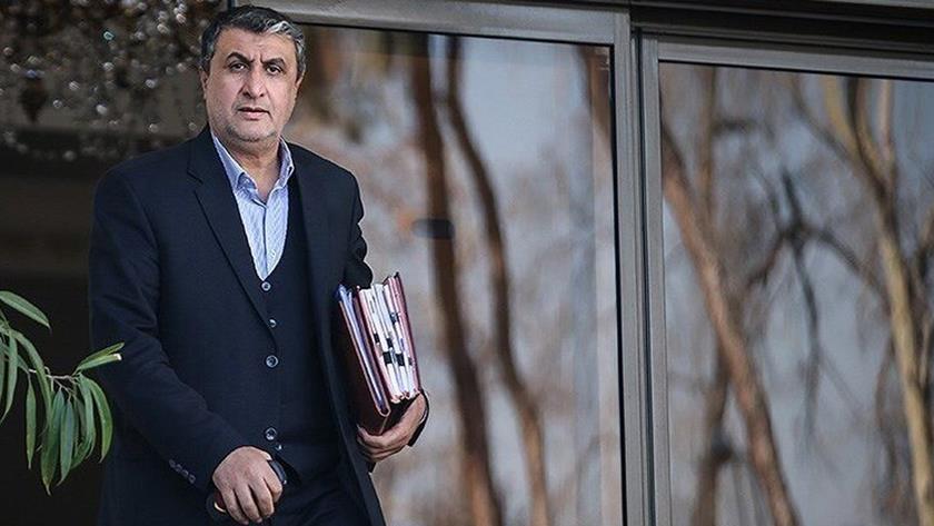 Iranpress: AEOI head in Austria to attend 65th Annual Regular Session of IAEA
