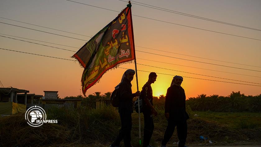 Iranpress: Arbaeen; pilgrims marching to Karbala from Najaf