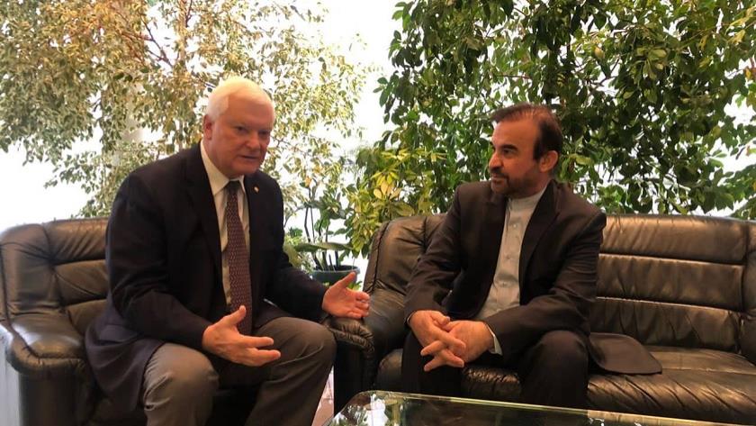 Iranpress: Iran, Russia consult on cooperation on information security