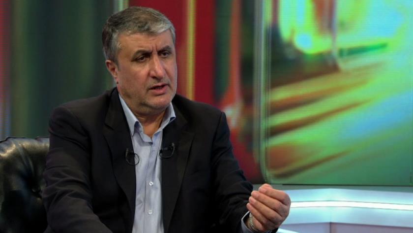 Iranpress: We should not keep our talks with IAEA confidential: AEOI Head