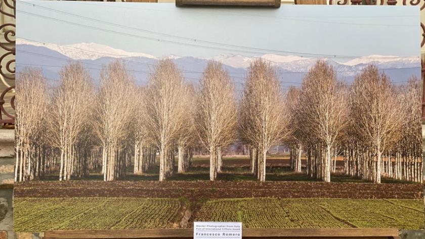 Iranpress: International photo expo underway in Italian Embassy in Tehran