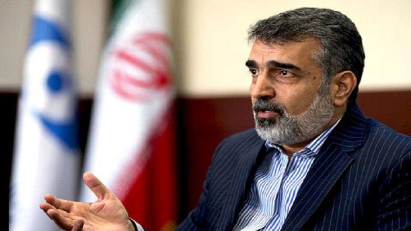 Iranpress: IAEA must stop disclosing confidential information: AEOI spox