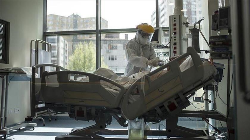 Iranpress: Brazil logs 389 COVID deaths in 24 hrs