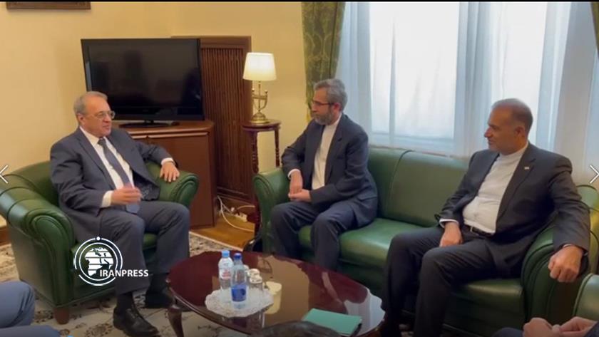 Iranpress: Iran, Russia confer on boosting ties