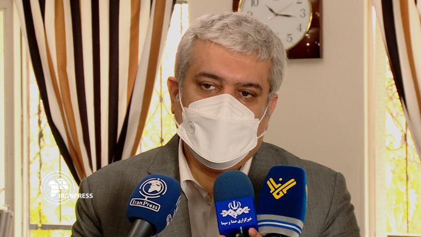 Iranpress: Government supports private investment in start-ups: Iran
