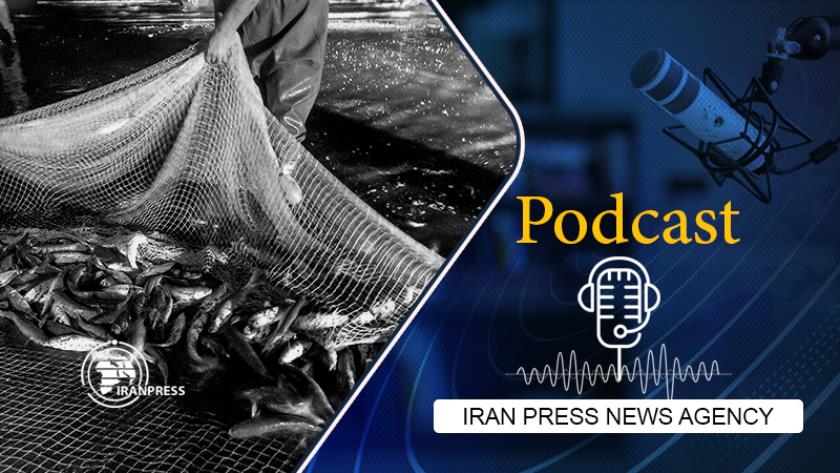 Iranpress: Beautiful fishing starts on shores of Caspian Sea
