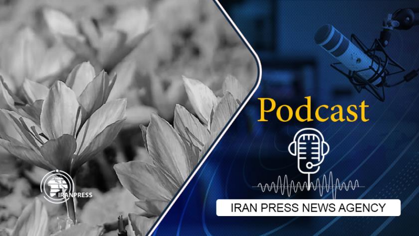 Iranpress: Get familiar with most expensive spice in world