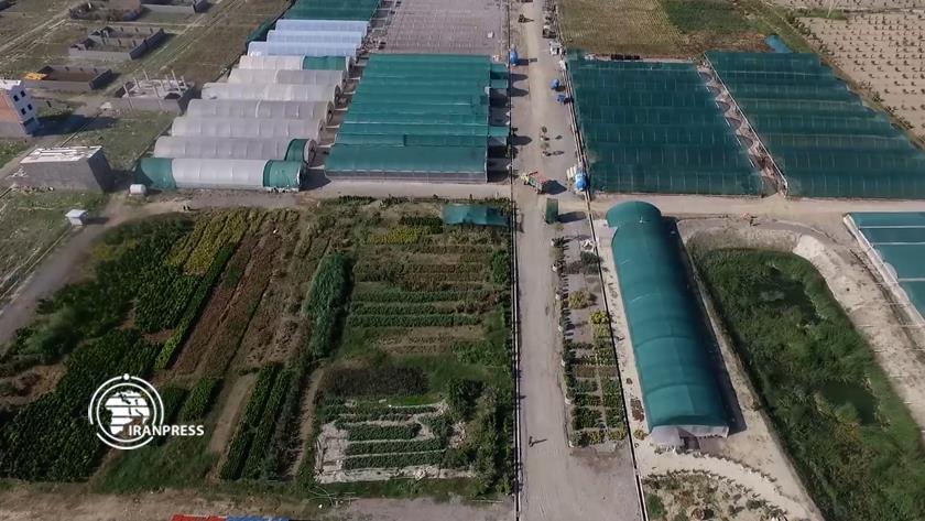 Iranpress: Farhikhtegan Greenhouse Town; development of Iran