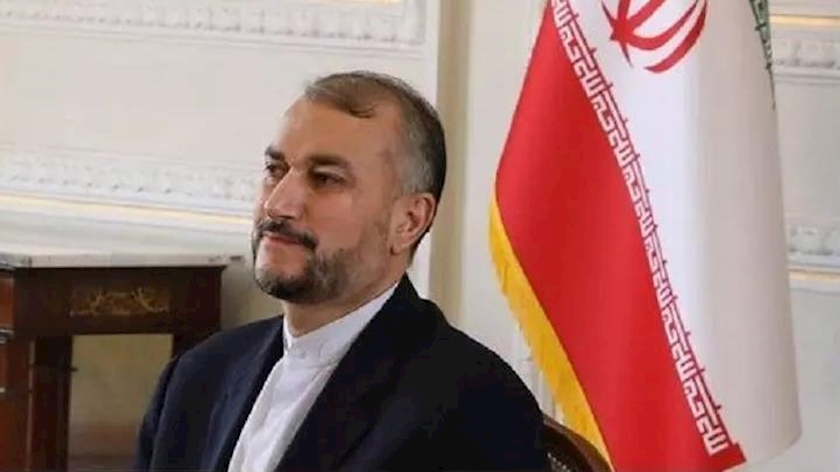 Iranpress: Iran ready to reach good agreement at nuclear talks in Vienna: FM