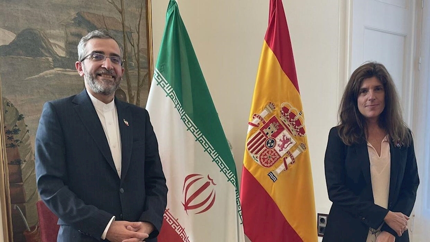 Iranpress: Bagheri Kani continues Iran