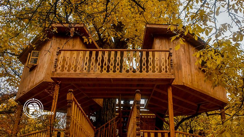 Iranpress: Tourists enjoy in wooden houses of Iran