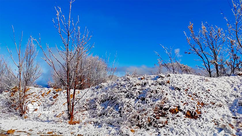 Iranpress: Beauty of Tuskestan tourist area in NE Iran when covered in snow 