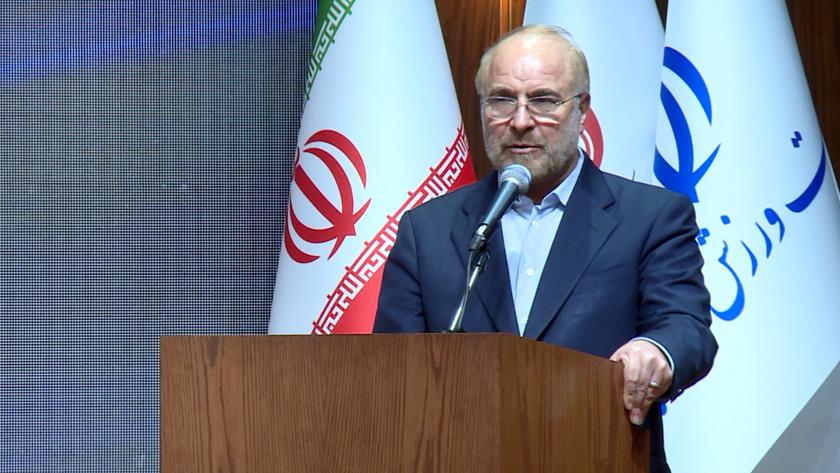 Iranpress: Speaker: Champions, cultural ambassadors