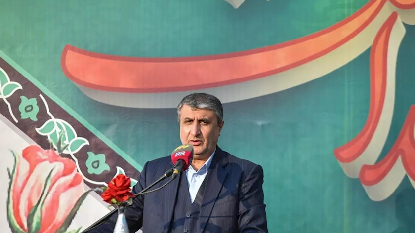 Iranpress: Iran’s nuclear program is entirely peaceful: Nuclear chief