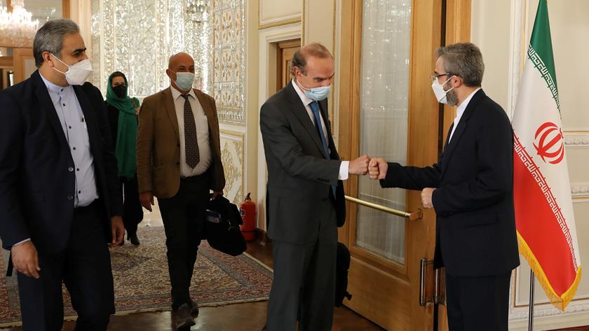 Iranpress: Iranian Deputy FM, EU