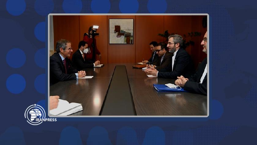Iranpress: IAEA can play a positive role in Vienna talks: Bagheri Kani