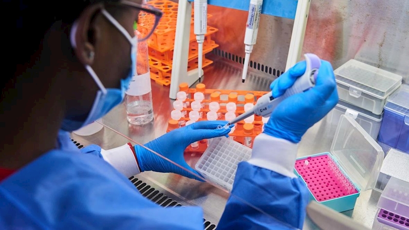 Iranpress: Previous Covid antibodies don