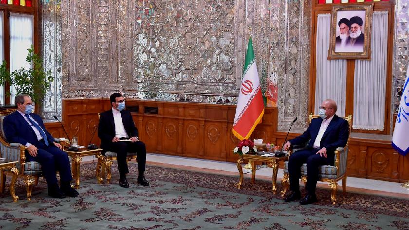 Iranpress: Parliament speaker meets with Syrian FM
