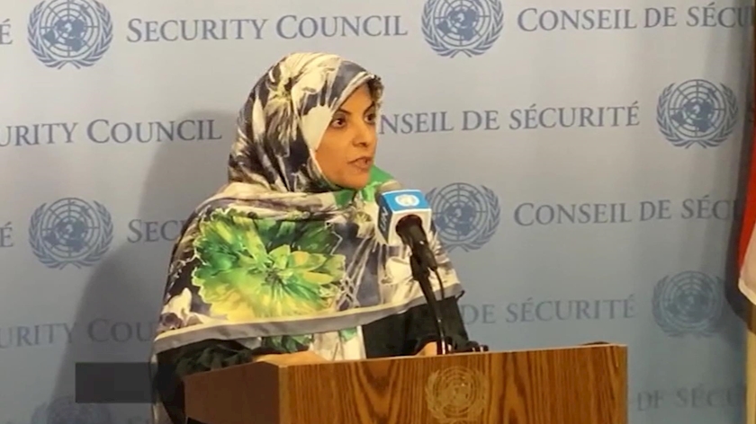 Iranpress: Envoy warns against disrupting Iran