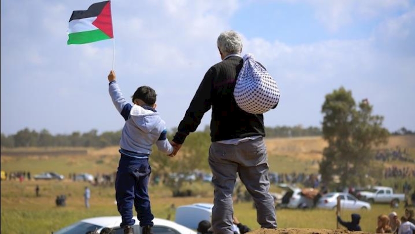 Iranpress: UN describes human rights situation across Palestine as disastrous