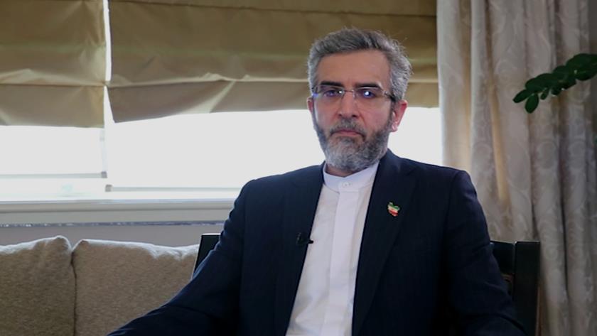 Iranpress: Bagheri Kani: We are optimistic but not naive