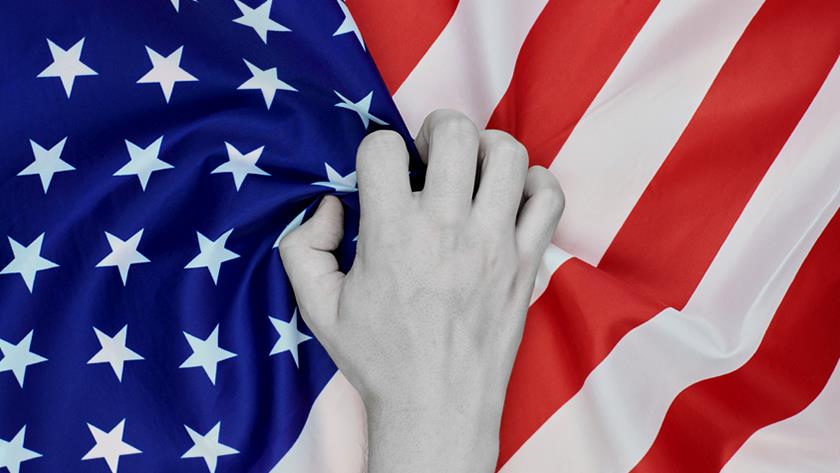 Iranpress: US racism in numbers