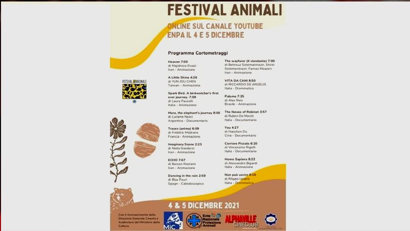 Iranpress: Iranian cinematographers shine at Italian Fest