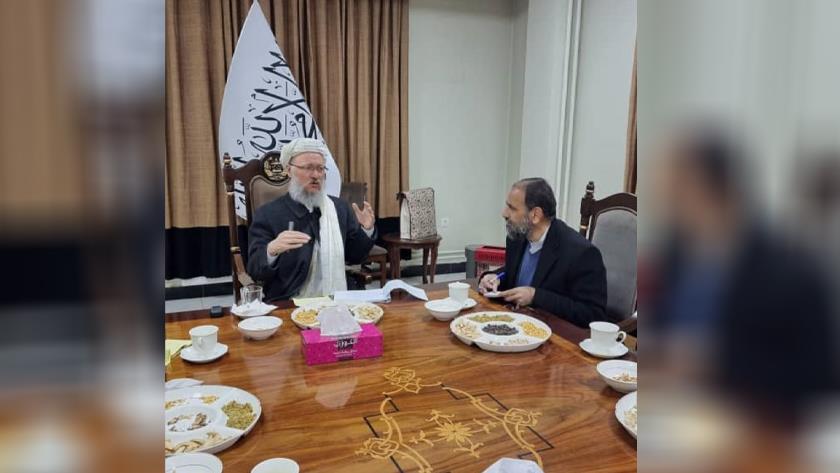 Iranpress: Iranian envoy, Taliban official confer on situation in Afghanistan