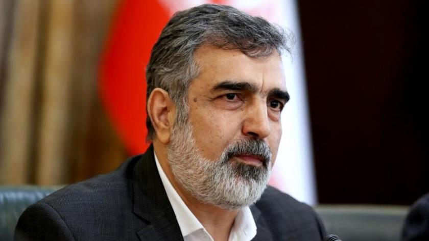 Iranpress: IAEA cameras in TESA to be installed after full investigations