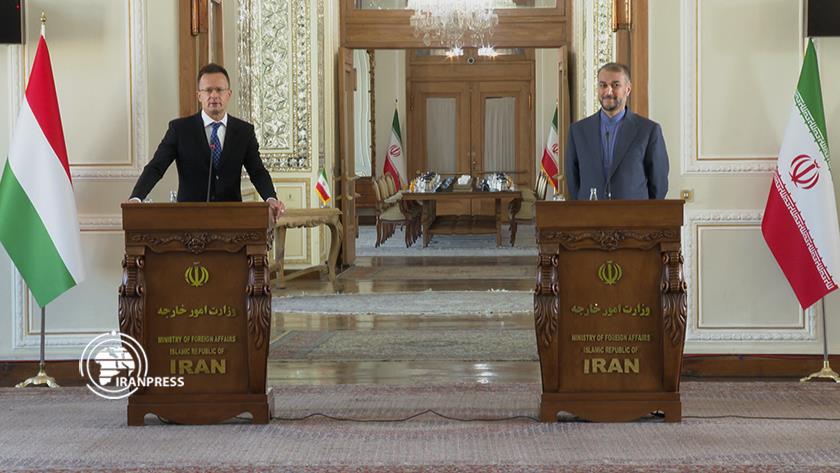 Iranpress: Iranian COVID vaccine valid for Hungarian visa