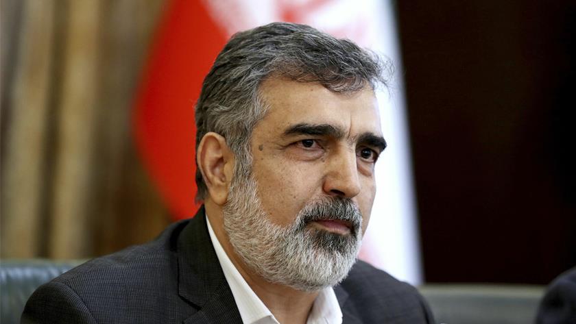 Iranpress: AEOI spox: Iran-IAEA current issues being followed up as usual
