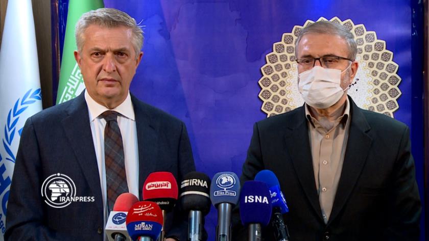 Iranpress: Interventionist regional policies shored up migration: Official