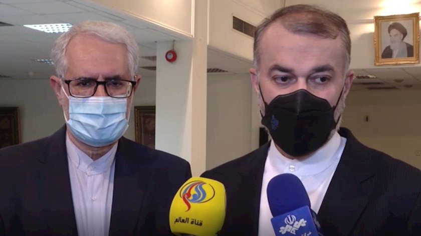 Iranpress: Iran benevolent party of regional developments: FM