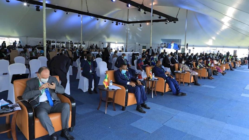 Iranpress: Africa renews push for favorable UN Security Council reforms
