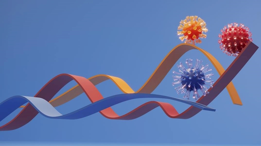 Iranpress: Omicron ‘sub-variant’ throws up new virus questions