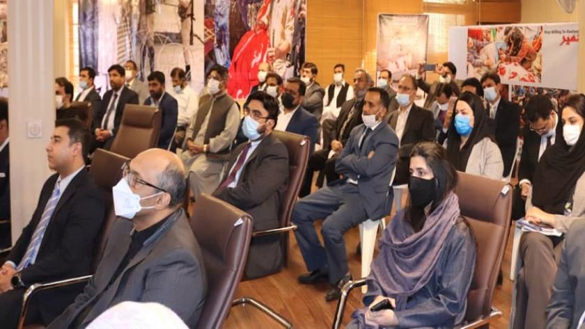 Iranpress: Observance of Kashmir Solidarity Day at the Pakistan