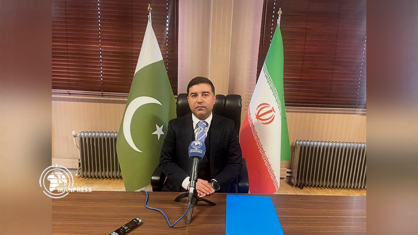 Iranpress: Pakistan appreciates Iran