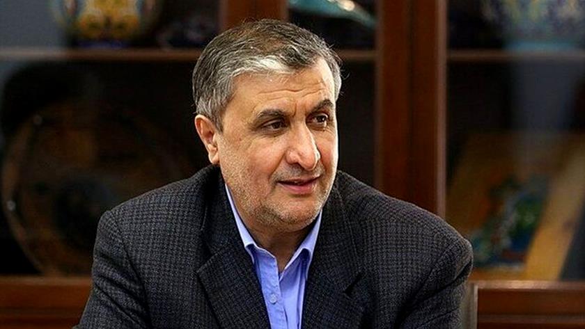 Iranpress: Iran can produce fuel with different degrees of enrichment 